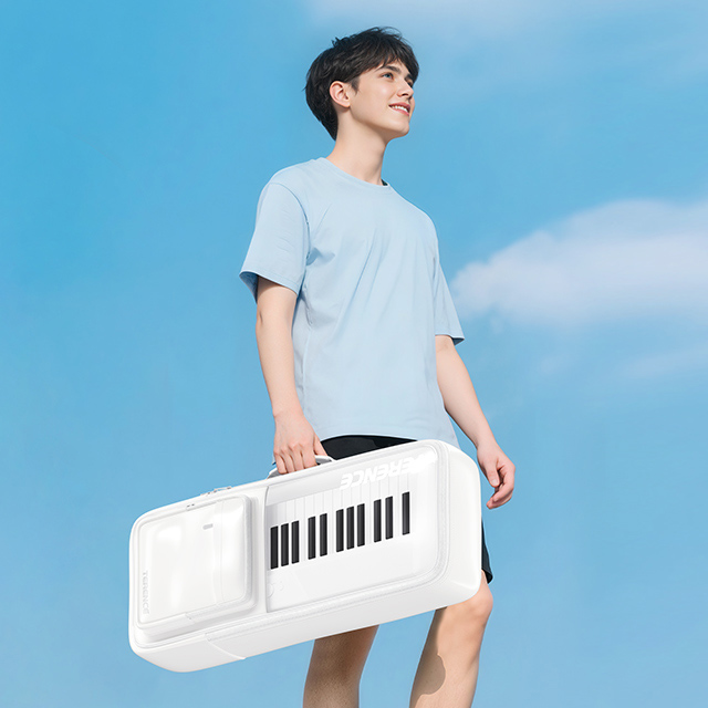 테렌스 C2 천문학 88건반 전자 오르간, 세련된 인터 - Midi Keyboard Controller 88 Key 리뷰 및 가격