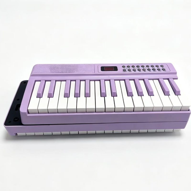 61키 휴대용 디지털 피아노 키보드 전문 신디사이저 악 - Synthesizer Keyboard 61 Key 리뷰 및 가격